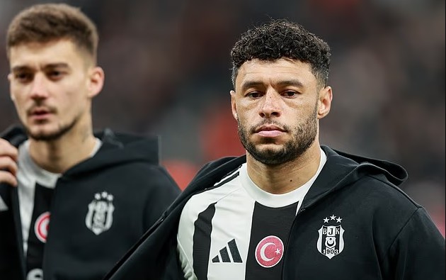 张伯伦重返, 张伯伦重返, tenan 张伯伦重返, 张伯伦重返, tenan