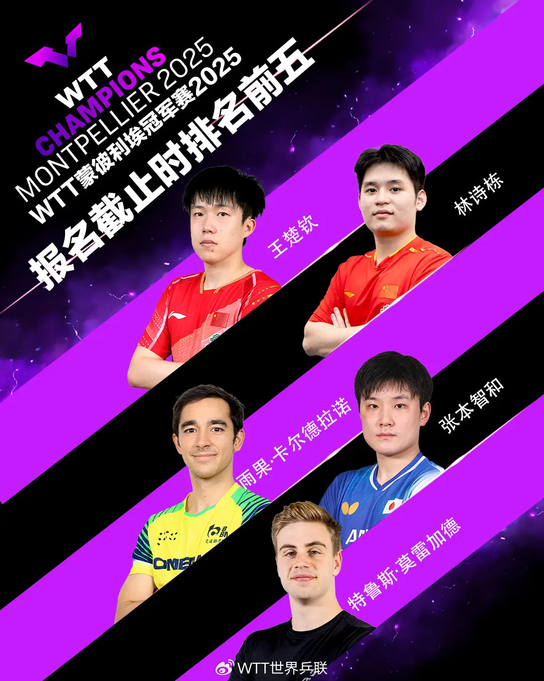 div, 轻选手需要, entit