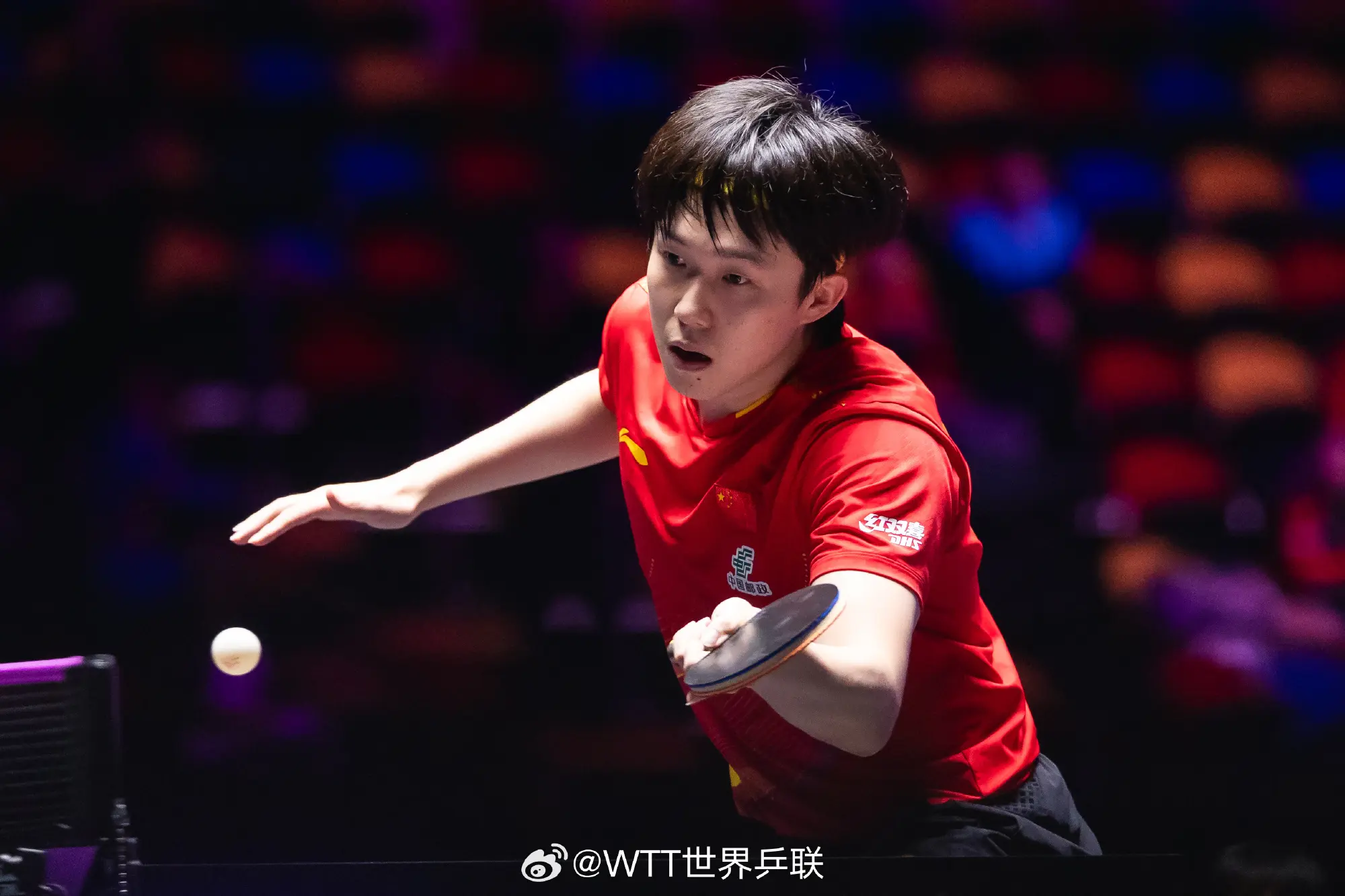 瑞典的莫雷, 国乒将力争