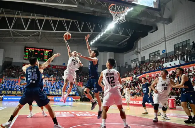 苍南队, 还是苍南队